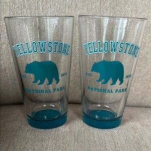 Yellowstone National Park Teal Glass Set